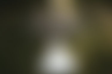 6 looks de novia con vestidos de Verónica Miranda