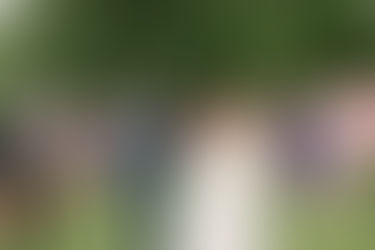 Boda en Mas d'en Roqueta, en Alt Urgell