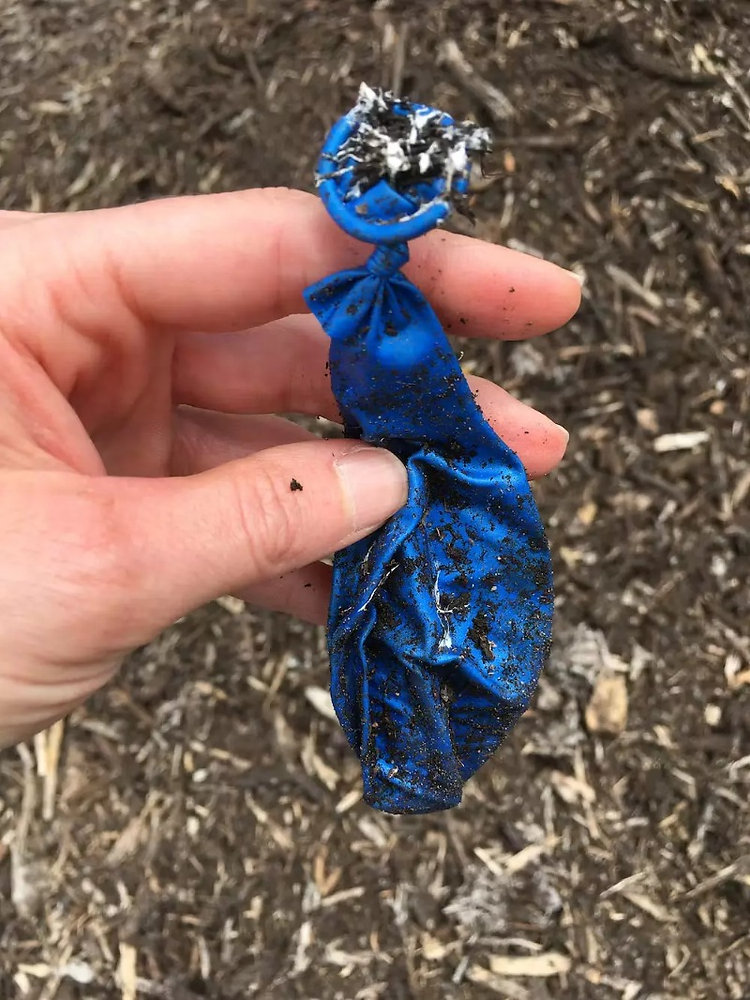 Biodegradable Balloons as Alternative Benefits and Importance