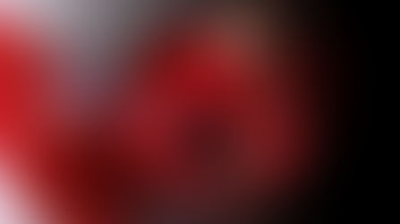 Passion Rose Dancers ホームページ開設いたしました‼︎