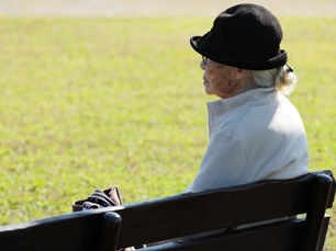 福島県白河市の伐採/剪定業者が語る、「それ、特殊伐採になりますよ！」と言われ焦ってしまいました、、、、