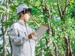 白河市の特殊伐採・植木職人が語る、高木・大木の伐採における危険性とプロの技術について