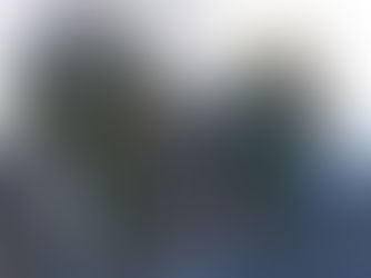 ■施工実績　福島県白河市＿伐採、剪定H様