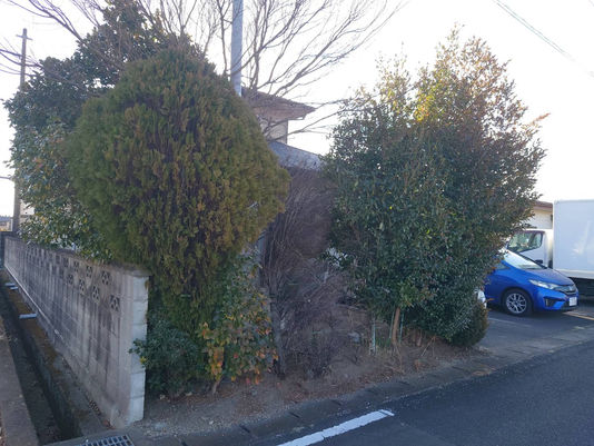 ■施工実績　福島県白河市＿伐採、剪定H様