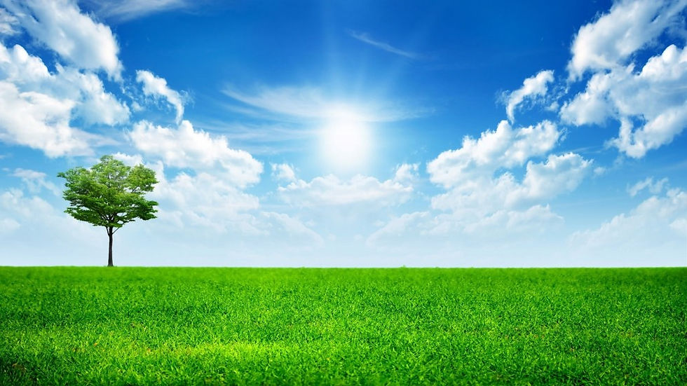 paisaje_de_un_campo-1024x576.jpeg