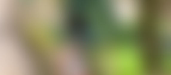 Thornley Farm Fresh Eggs: A Local Favourite