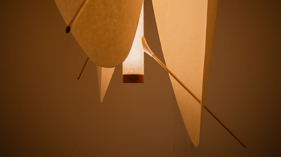 The three dancers - Curves of Life hanging lamps - Steen Higham & Bastian Higham - Copenha