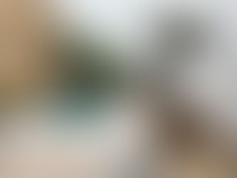 Small courtyard in a property in Mallorca with a small pool lined with Palms, wooden sunbed, an olive tree in a pot and a tall stone wall