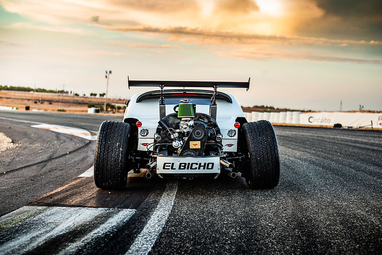 El_Bicho_HWLTS&P24-3.jpg