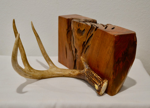 Walnut Bookend
