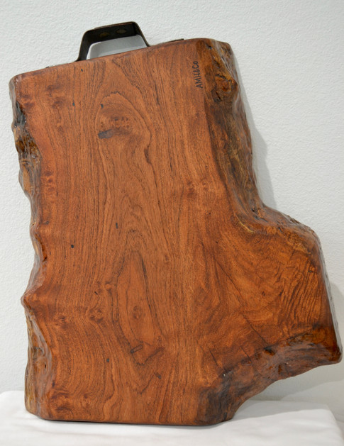 Tx Mesquite