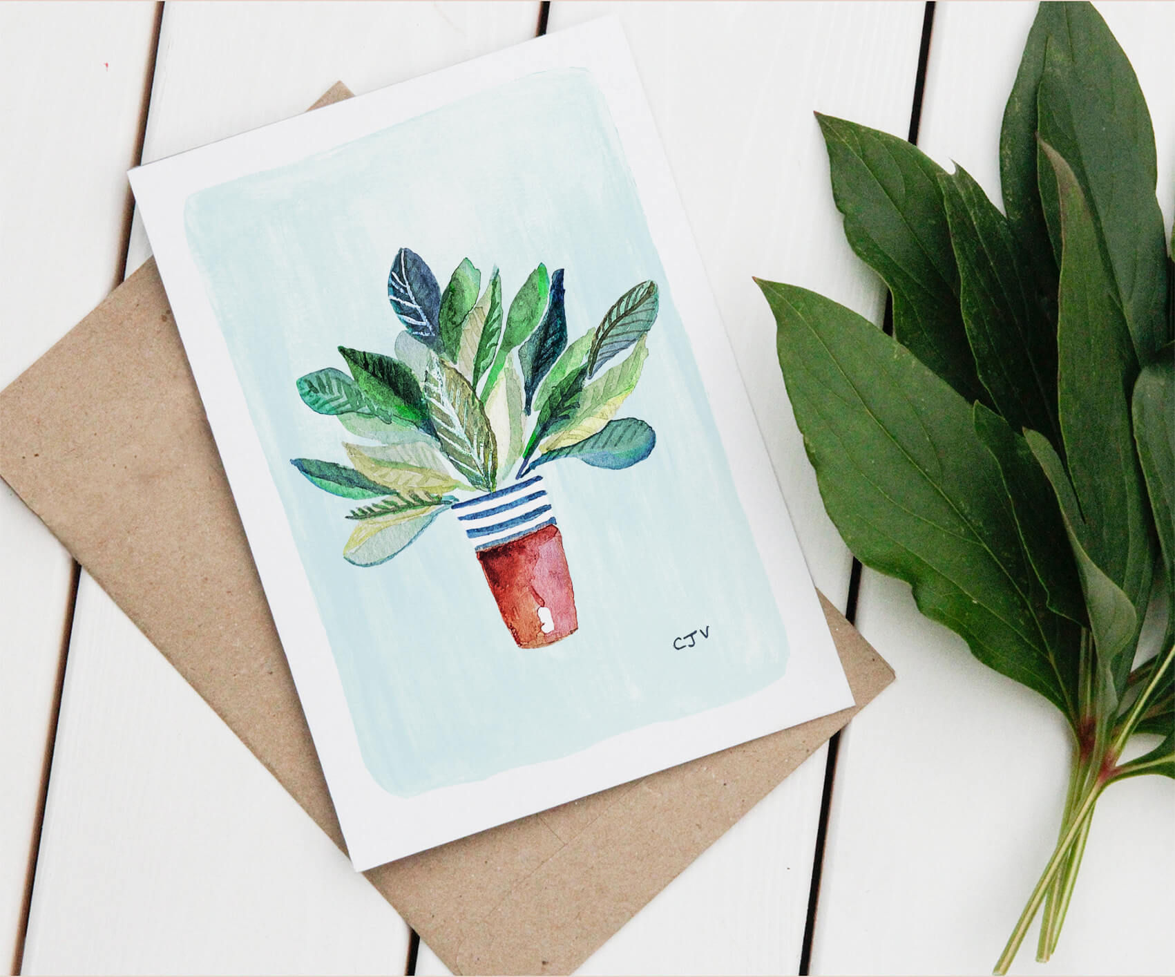 Ctenanthe - plante tropicale - Carte de voeux