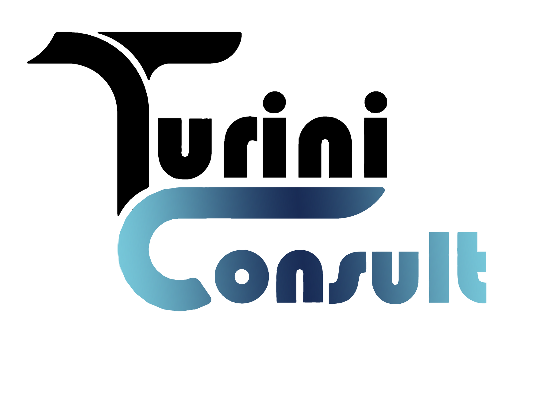 Turini Consultoria Empresarial Ltda