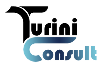 Cat,Denatran, Lcvm,Lcm,Homologação de Veiculos- turini consult