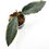 Thumbnail: Hoya Archboldiana Albo