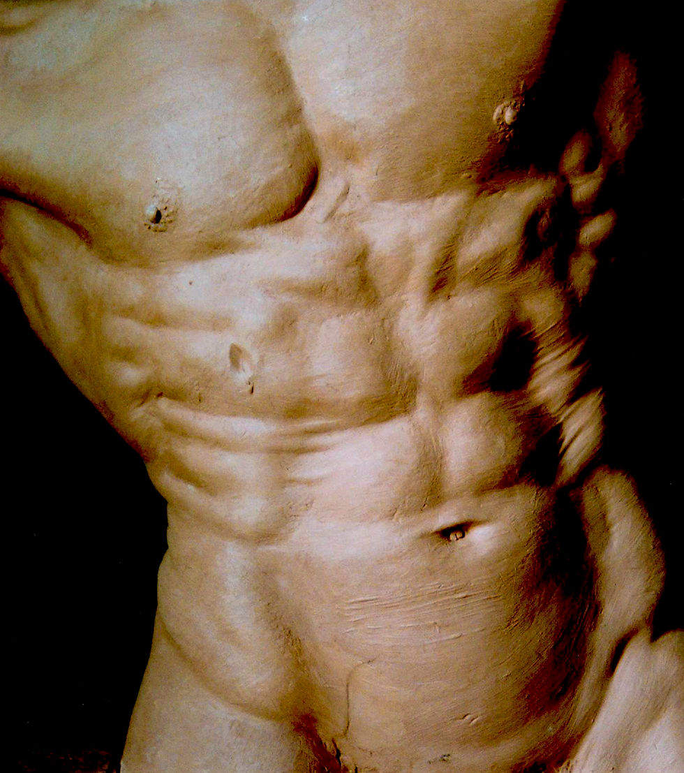 TORSO