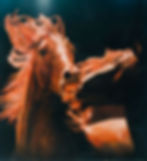 EN LUCHA OLEO SOBRE TABLA 5O X 4O CTMS PRECIO 4OOO EUROS 001.jpg