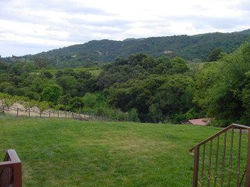 Dezahara- Los Altos Hills, CA