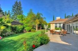 Berry- Los Altos, CA