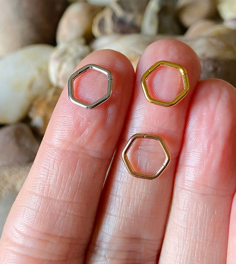 Thumbnail: Hexagon Segment Hinged Septum Clicker Daith Rook Ear Ring 1.2mm 8mm
