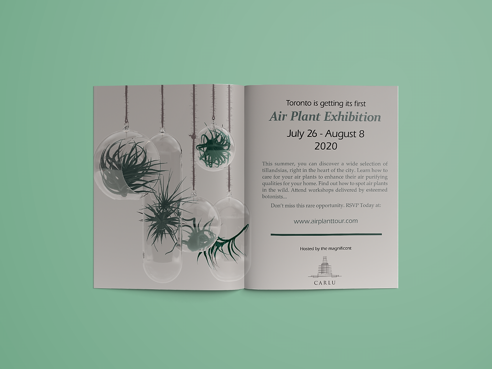 Double-page magazine ad for Air Plant Exhibition
