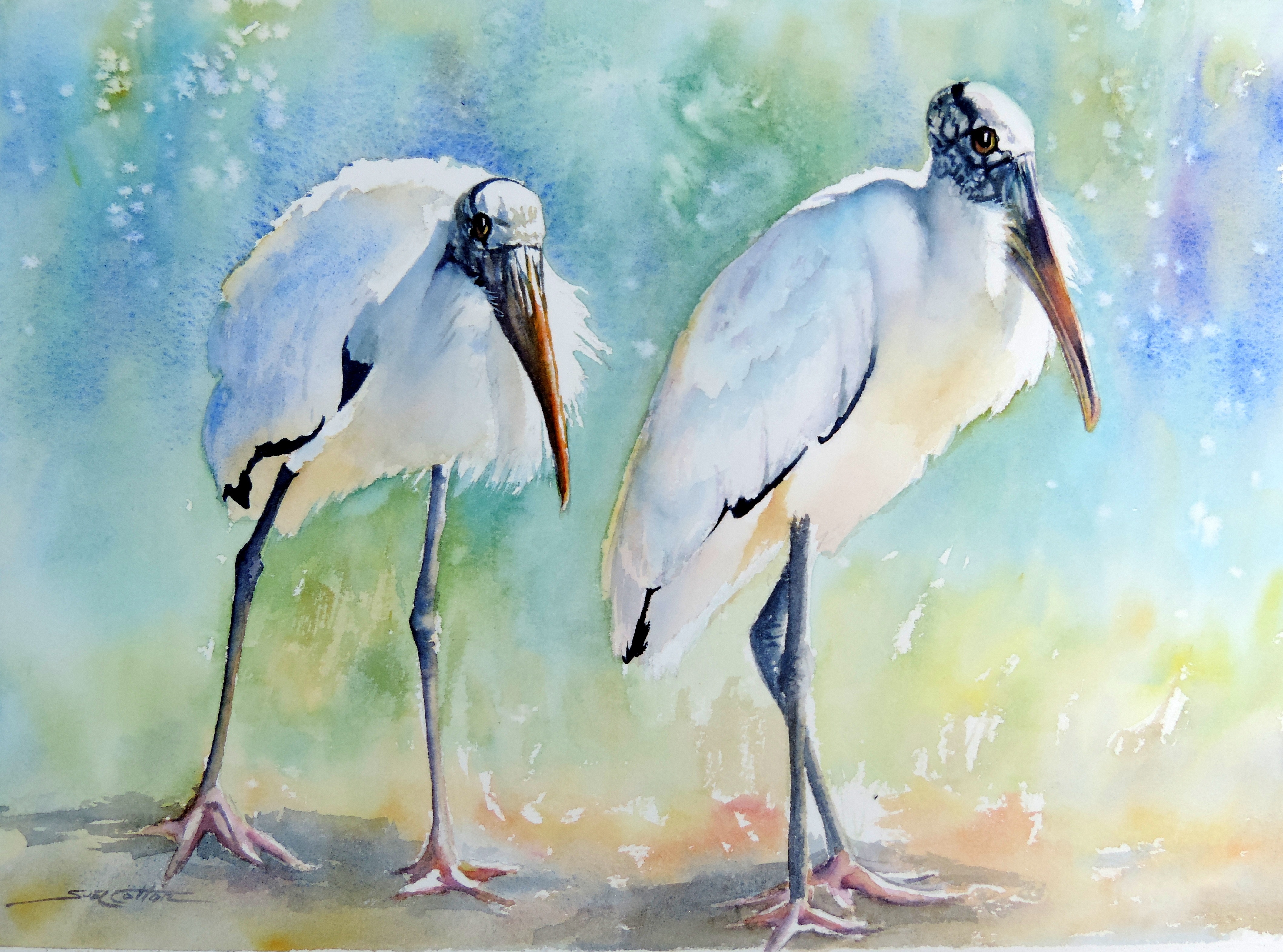 "Woodstorks at Noon"