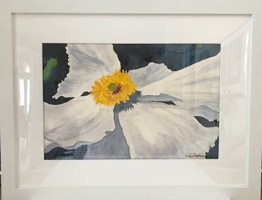 Mantilla Poppy
