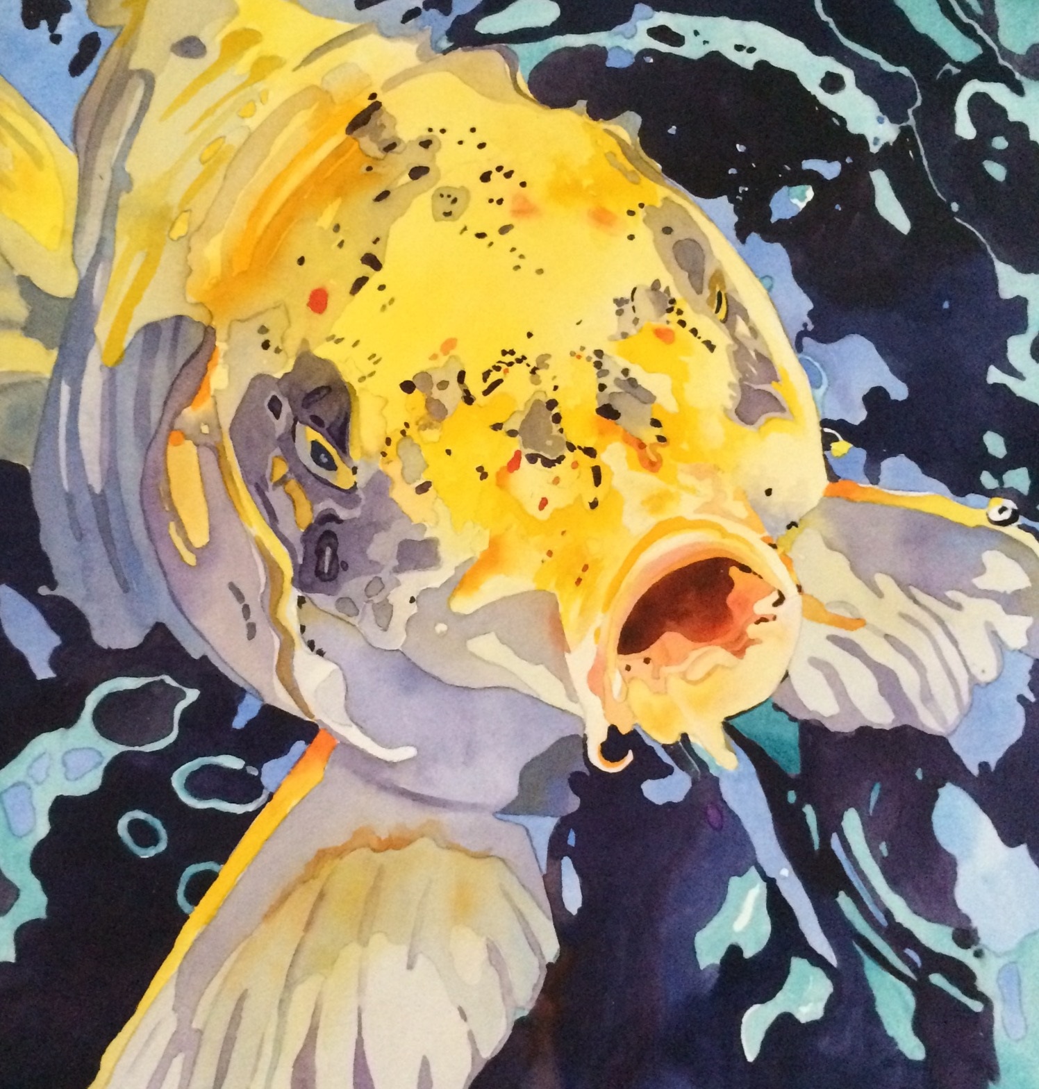 "Koi"