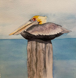 Pelican Perch #20