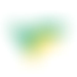 Vie Faucet Full Review