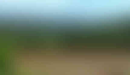 This is a view along the trail I walked today.