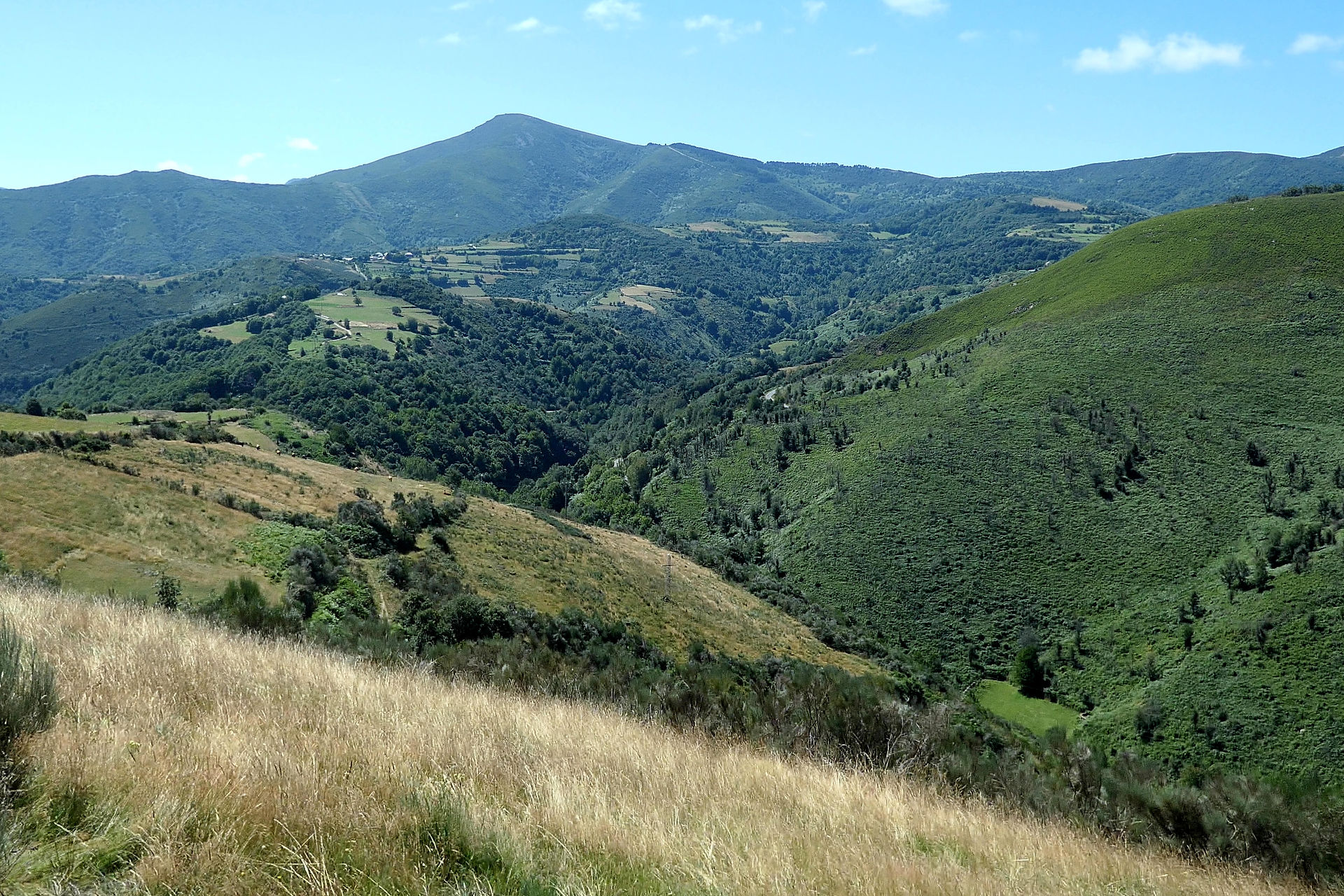 This is a view to the left of the trail.