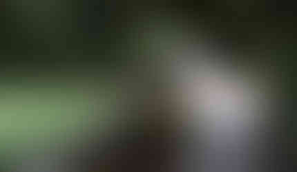 This is a walking bridge I crossed outside of the village of Leboreiro.