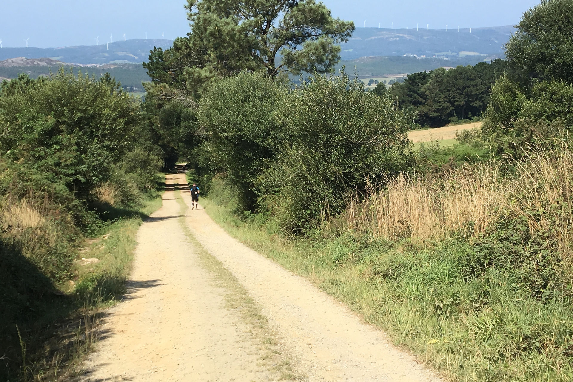 This is part of the trail I walked.