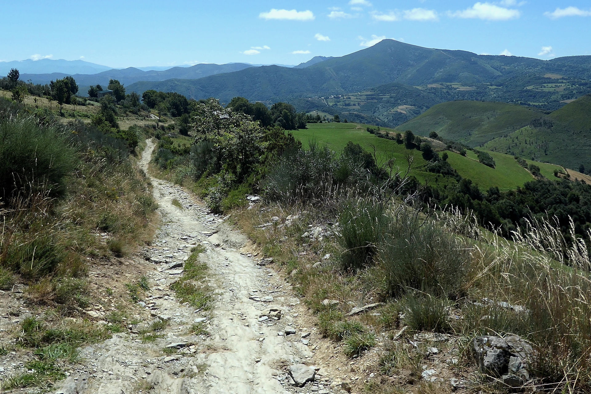 This is part of the trail I walked today.