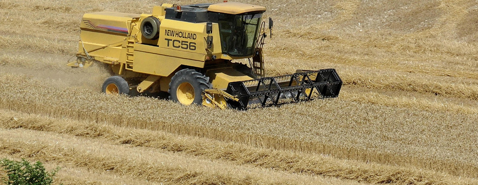 Here is a combine harvesting a wheat. This reminded me of home during the wheat harvest.
