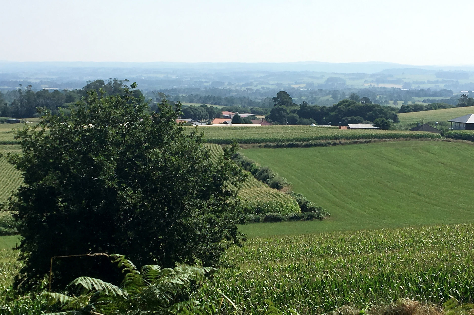 This is a view from the trail.