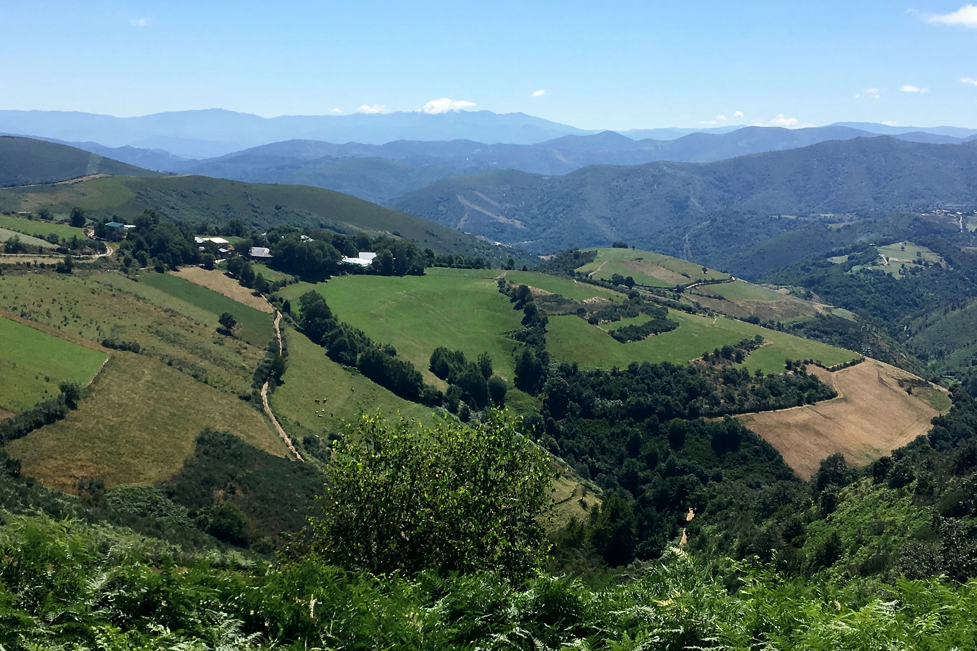 This is a view to the left of the trail.