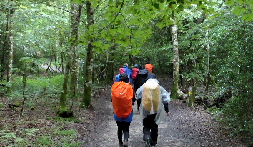 There was a light rain to start so everyone put on their rain gear. This is part of the trail leaving Roncesvalles.