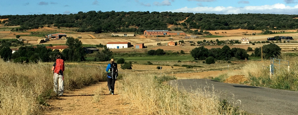 Here are two pilgrims on the trail.