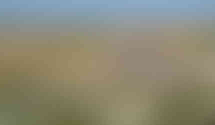 This is the view looking forward from the top of the hill.