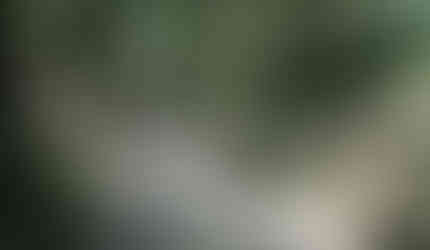 This is a view of the trail I walked.