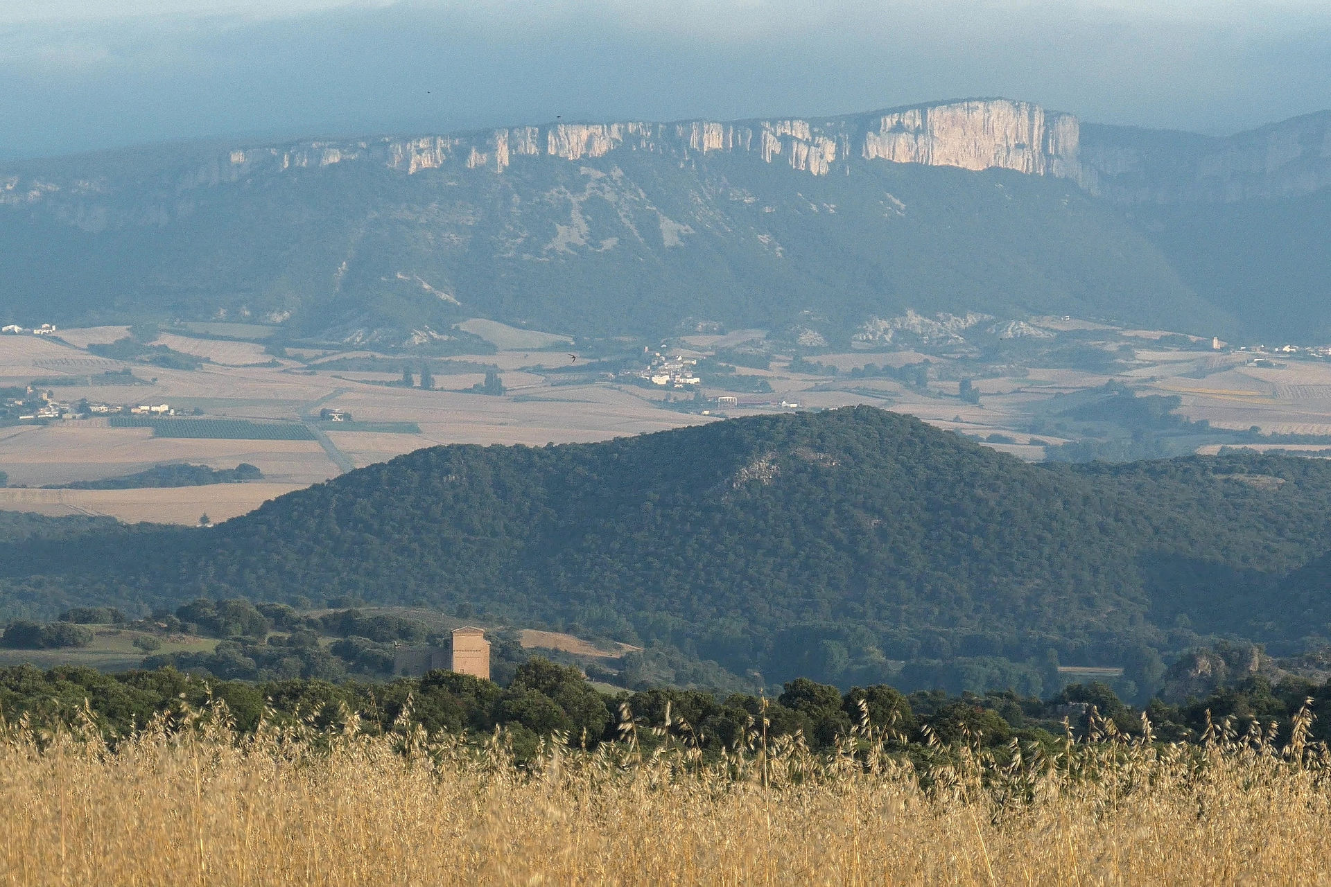This is a view from the trail.