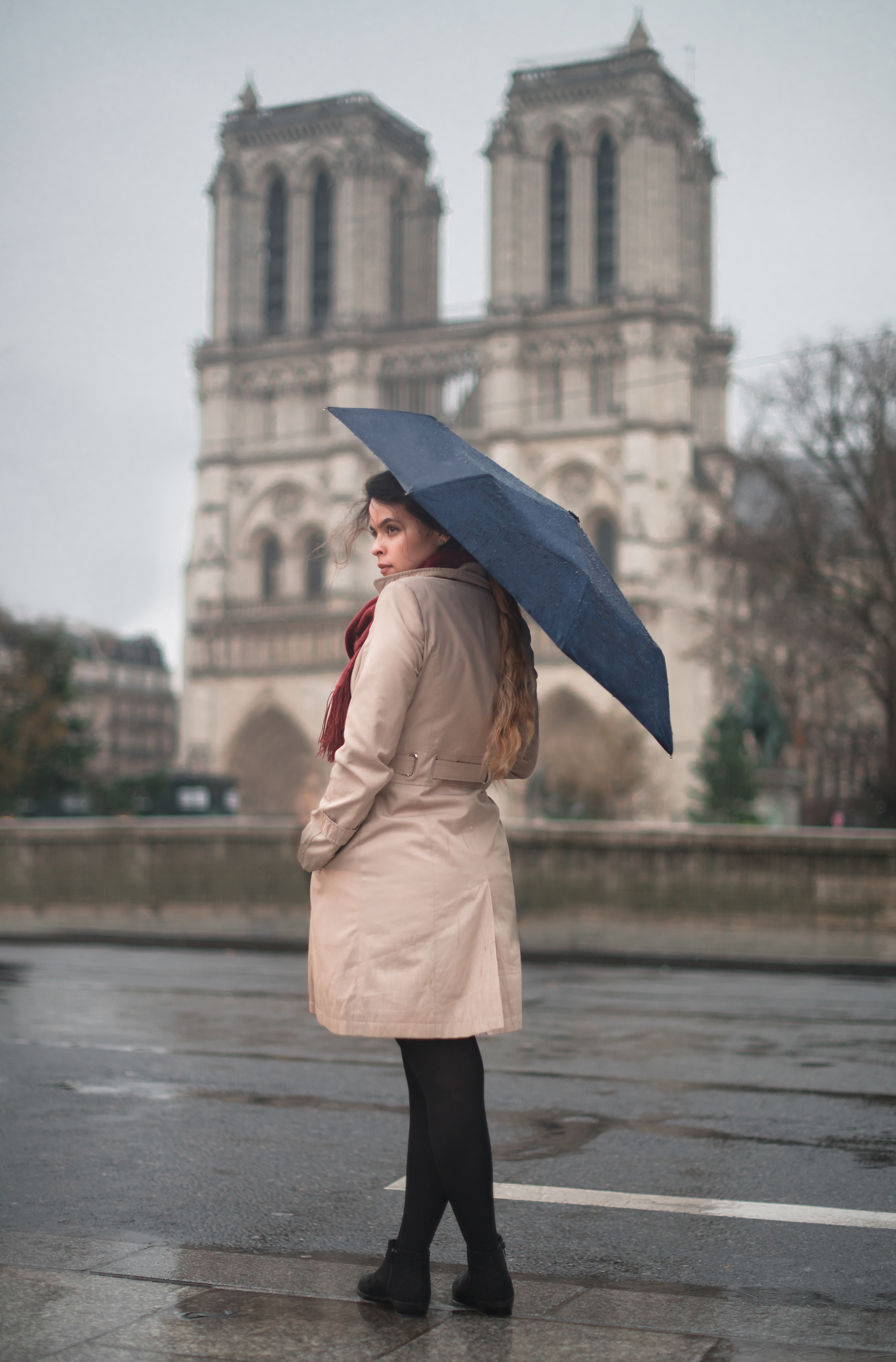 Paris Umbrella