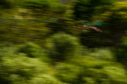 FRosa_12HHankook_Estoril-3957