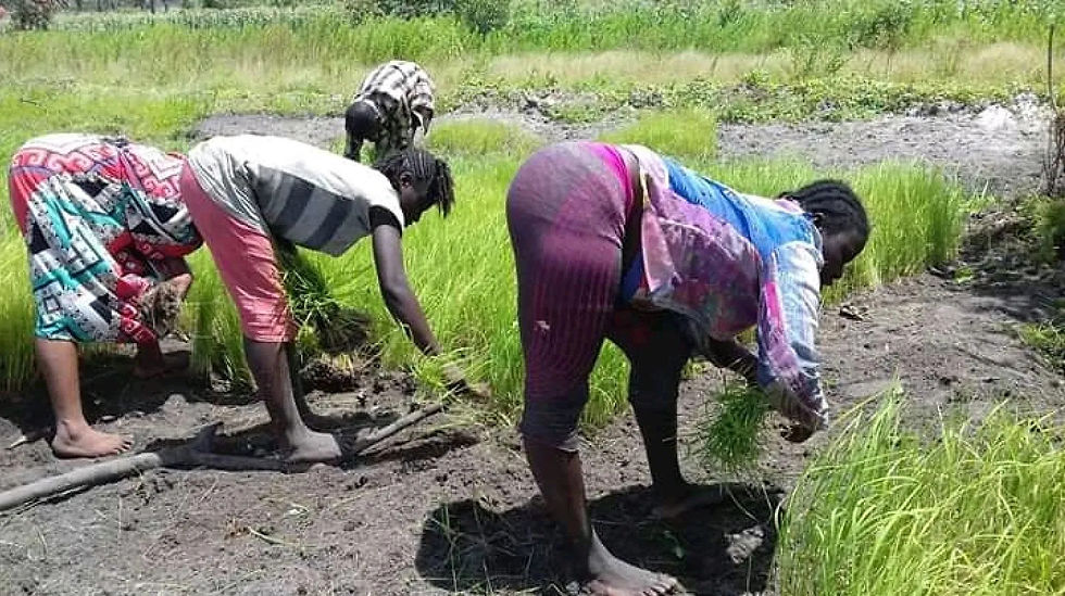 planting.jpg