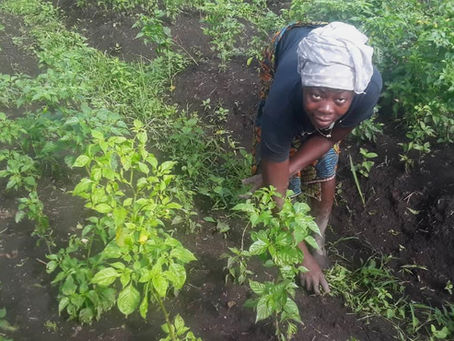 Our pilot project: Making a difference already
