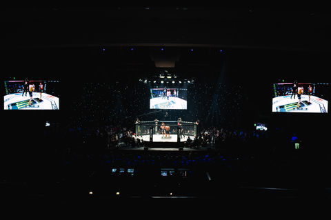 Wide shot of MMA cage