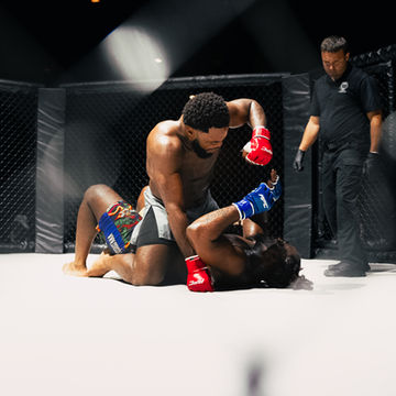 MMA fighter ground and pound