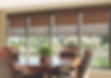roller shades.jpeg
